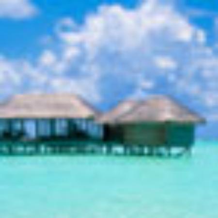 Rigoberto's Mexican Restaurant